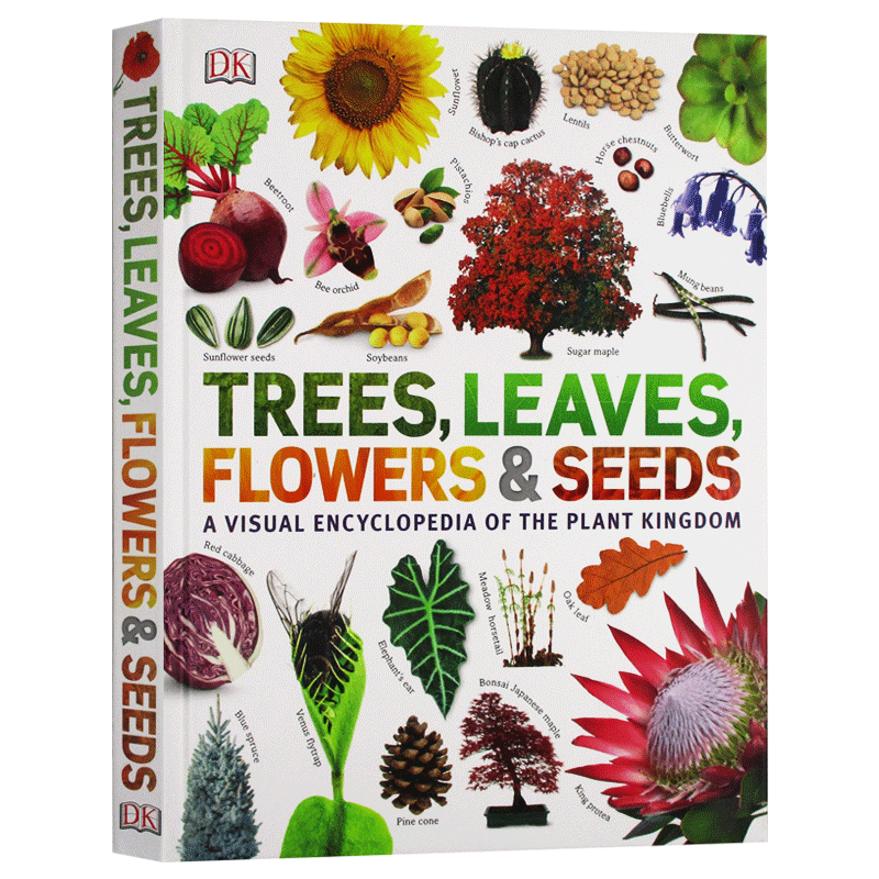 Seeds | 奕行智能完成超亿元Pre-A+轮融资